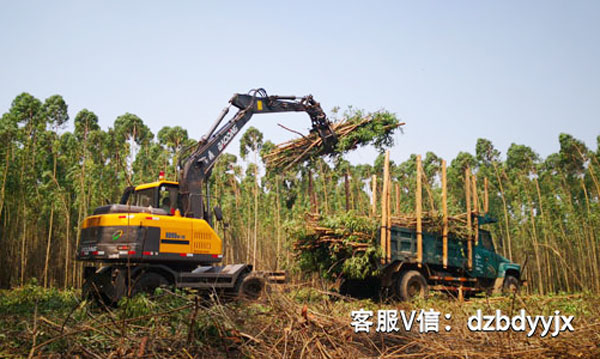 寶鼎95抓木機(jī)桉樹(shù)裝車.jpg